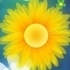 Flower saga